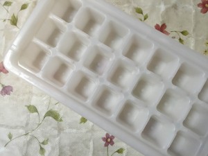 残りは製氷器にスプーン一杯分ずつ入れて冷凍保存します。
